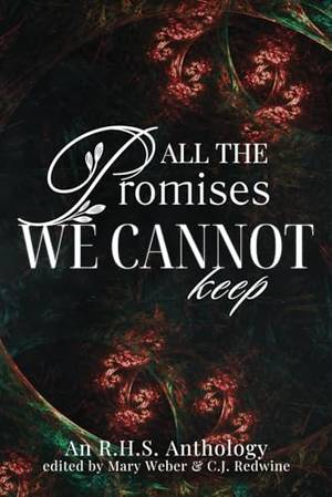 Honest review of All the Promises We Cannot Keep